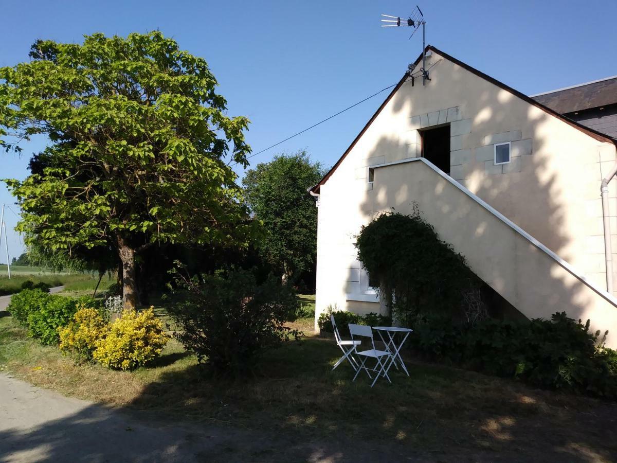 Les Hautes Mougonnieres Neuil Zewnętrze zdjęcie